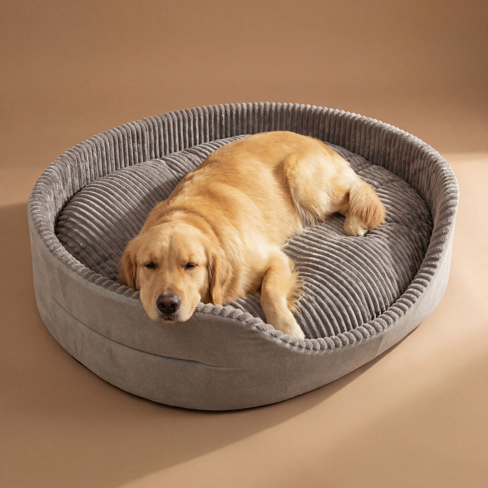 The Corduroy Cup Bed