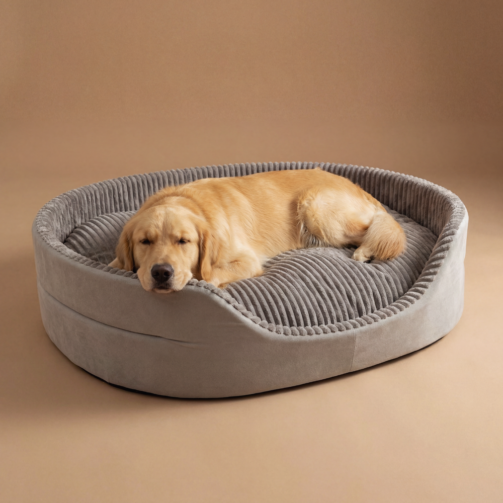 The Corduroy Cup Bed