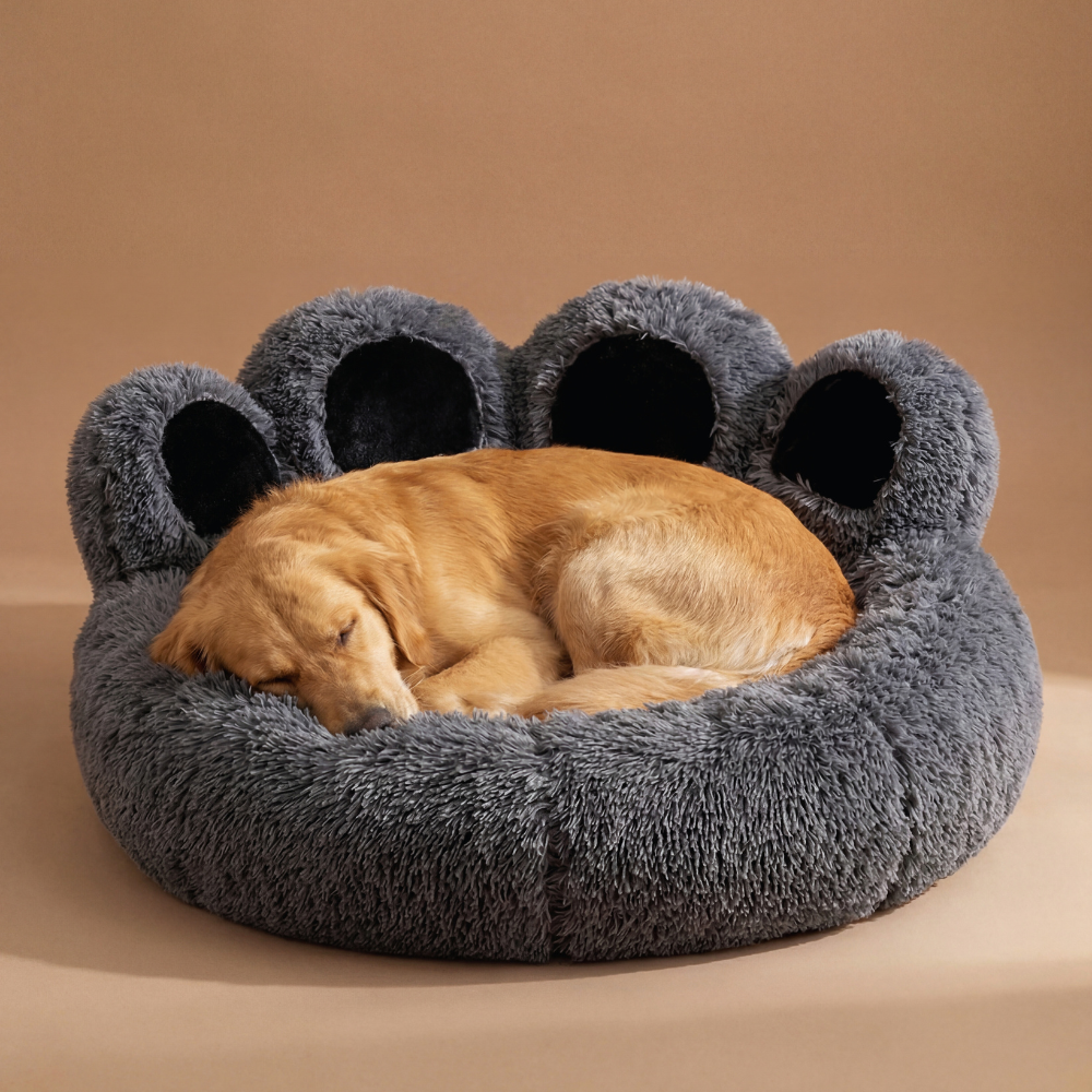 Plush Paw Dog Bed